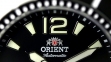 Мужские часы Orient SDV01001B0 1