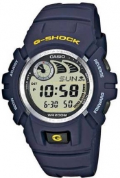 часы мужские CASIO G-2900F-2VER