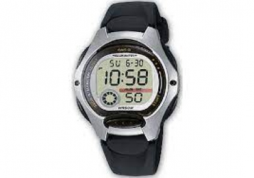  часы мужские CASIO  LW-200-1AVEF 